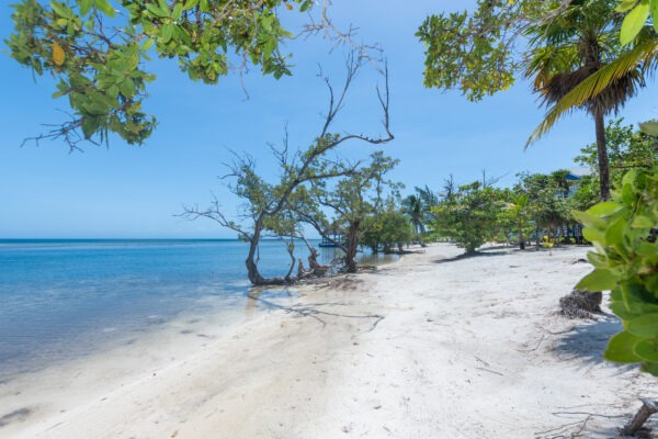 Milton Point Beach Lot 1B
